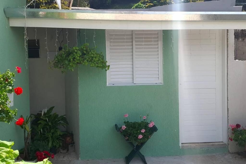 Apartment Green Suite